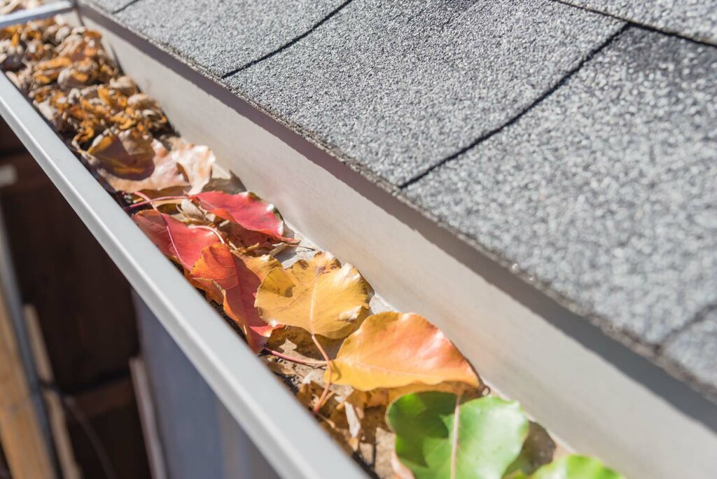 autumn leaves clogged house gutter